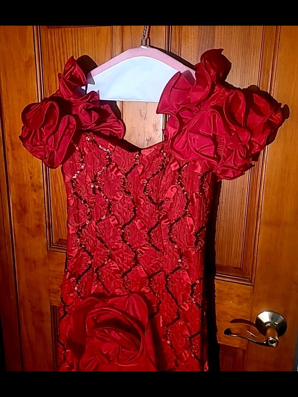 Red Ruffled Floral Appliqué Evening Gown By Dave & Johnny Size 7-8 - Picture 4 of 11